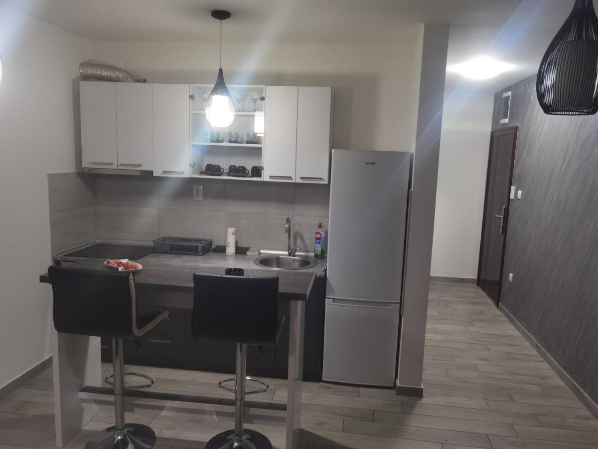 Danica Apartment Sremska Mitrovica Exterior foto
