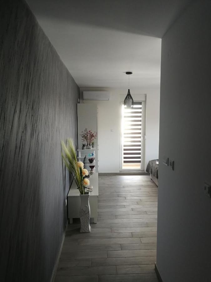 Danica Apartment Sremska Mitrovica Exterior foto